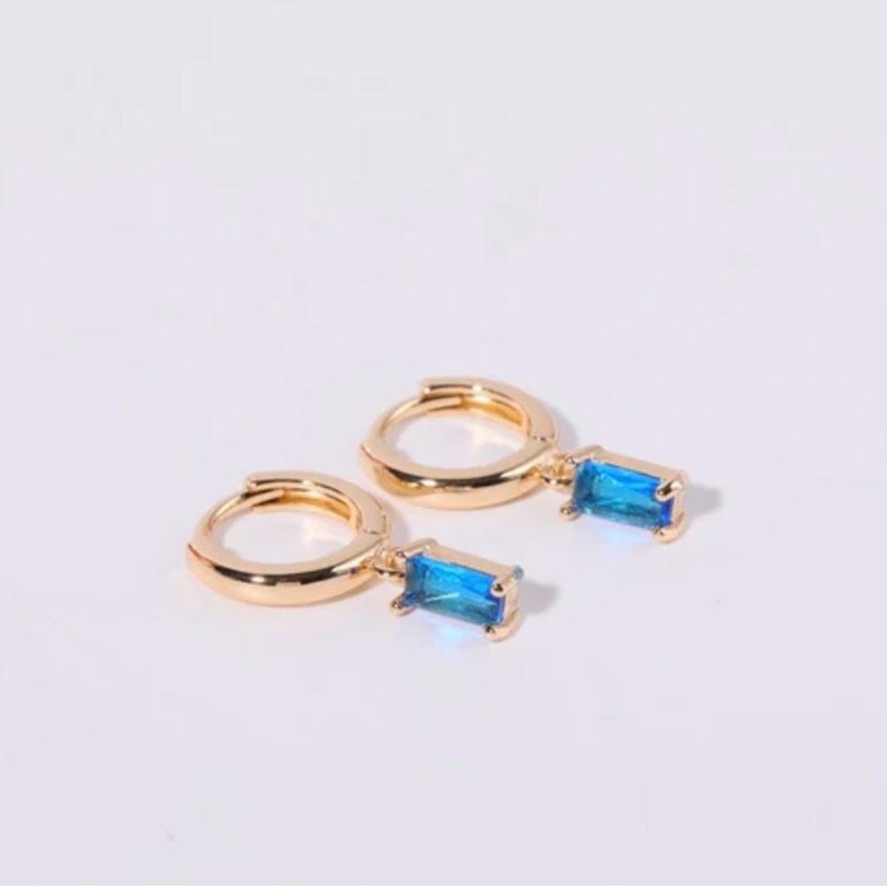 December birthstone Huggies earrings Gold PVD